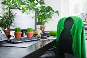 creative workplace with plants